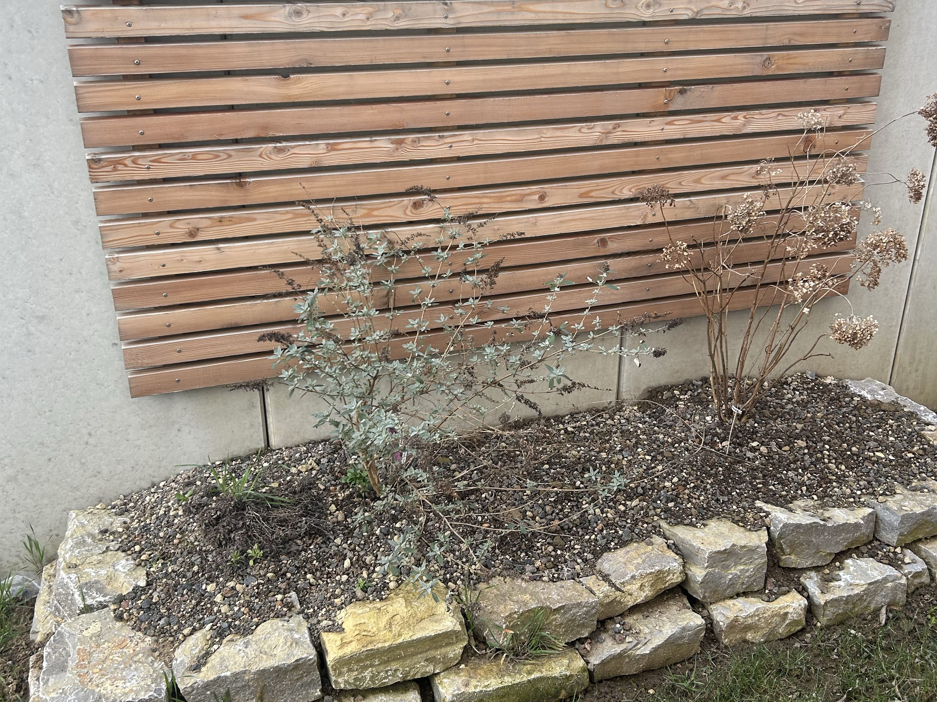 Betonmauer als Beetbegrenzung mit Holz-Sichtschutz