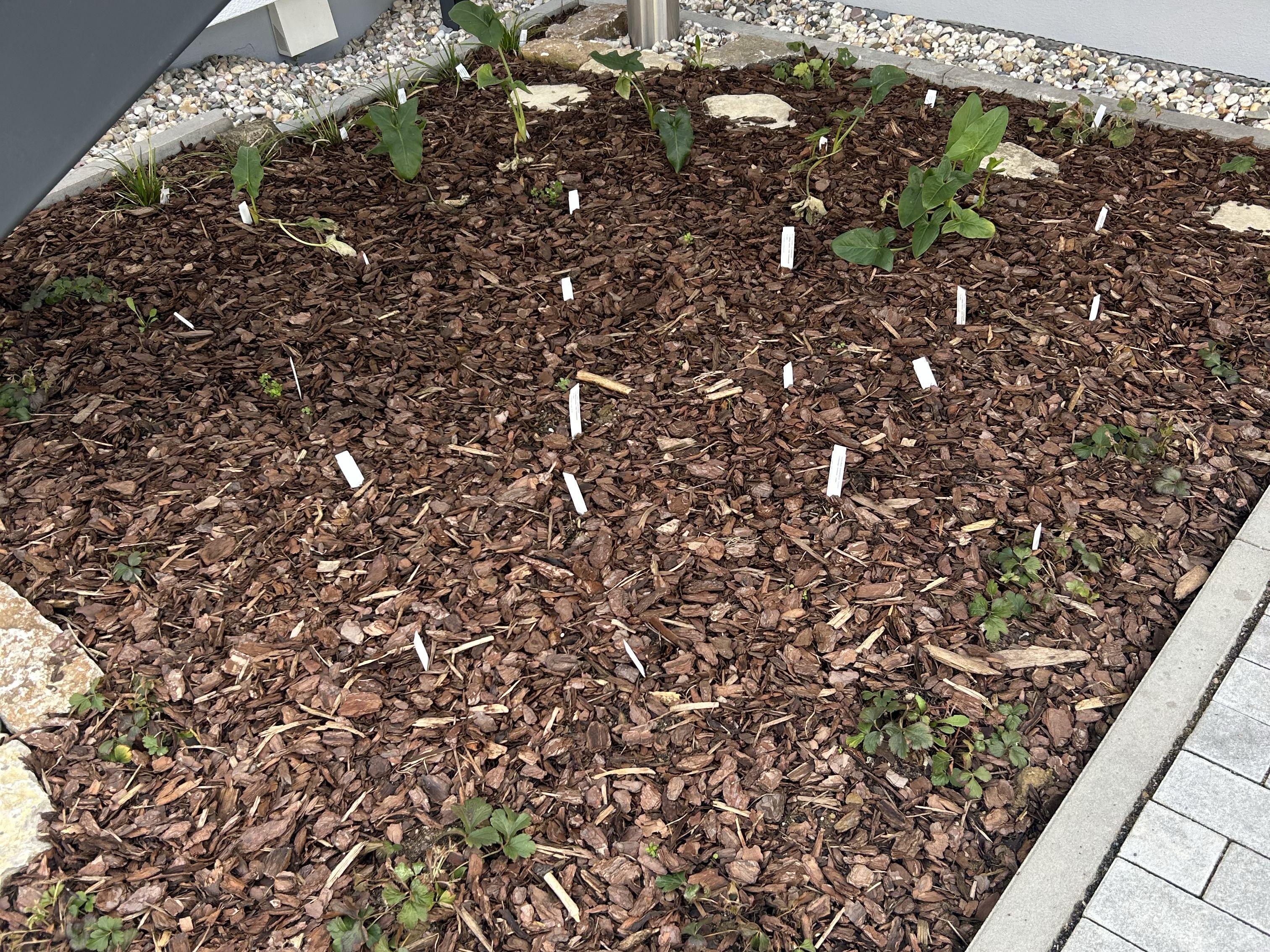 Bepflanztes Beet mit Rindenmulch unter einer Stahltreppe