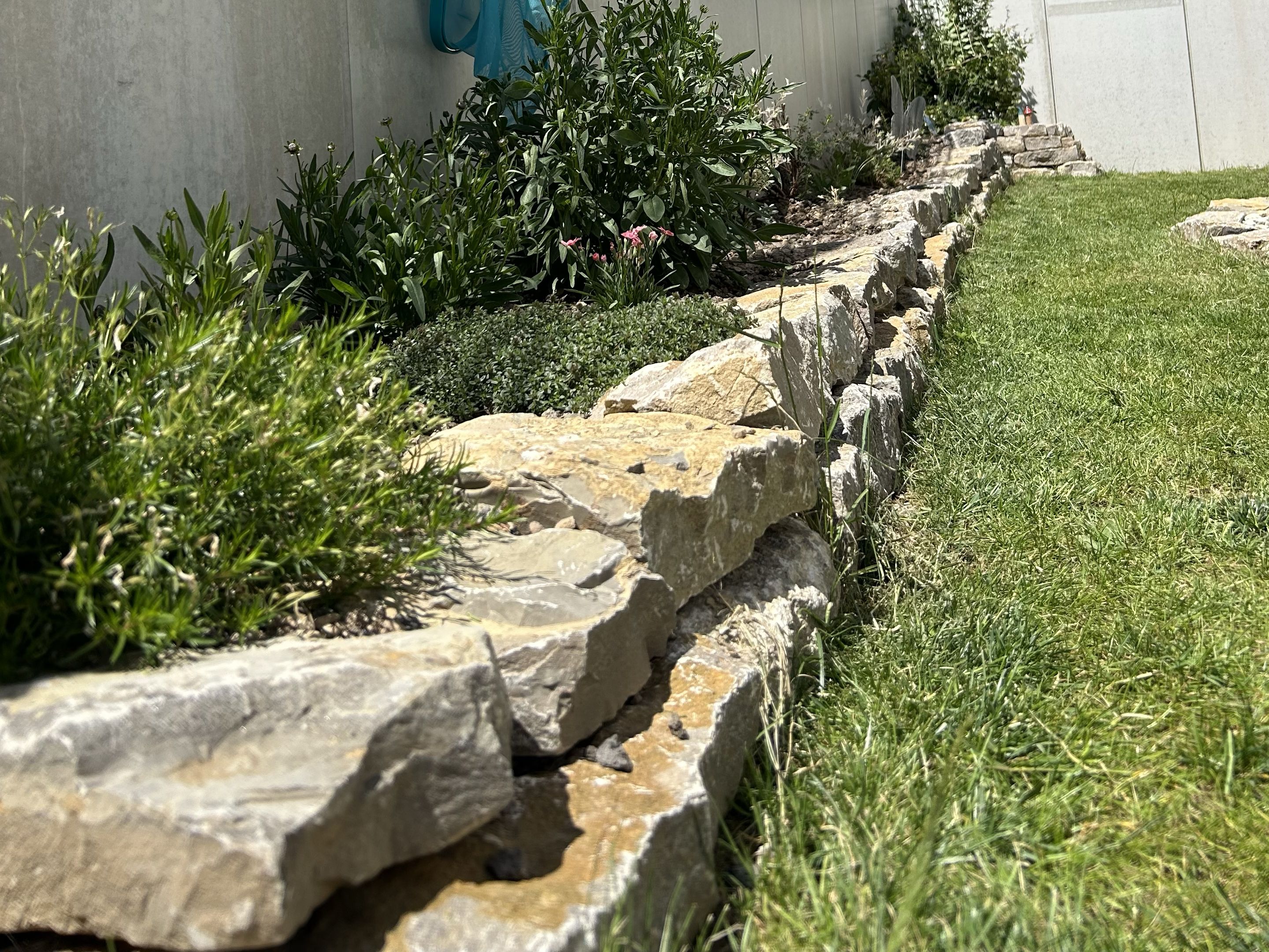 Niedrige Trockenmauer zur Rasenabgrenzung