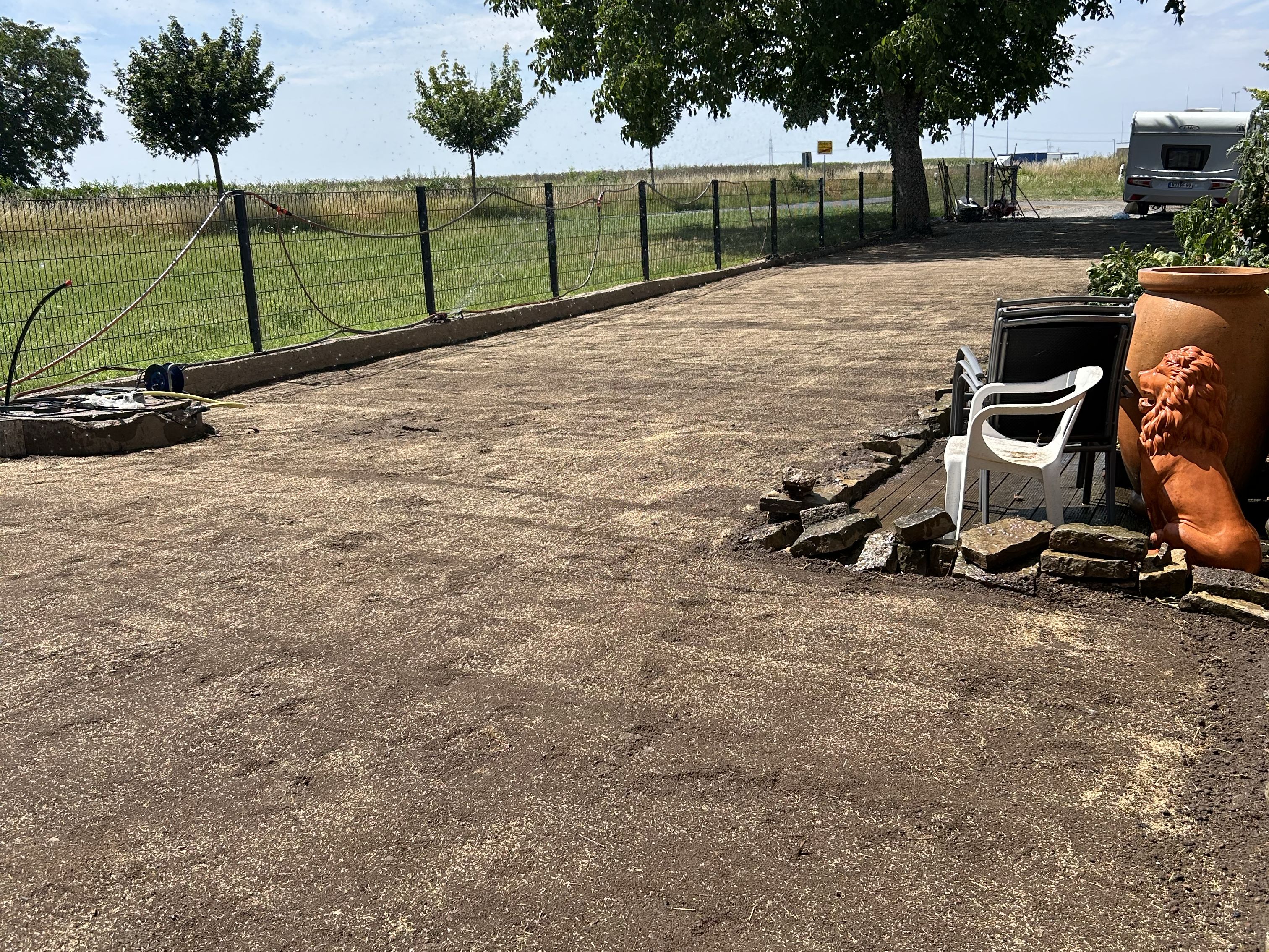 Neu angelegte Rasenfläche im Garten