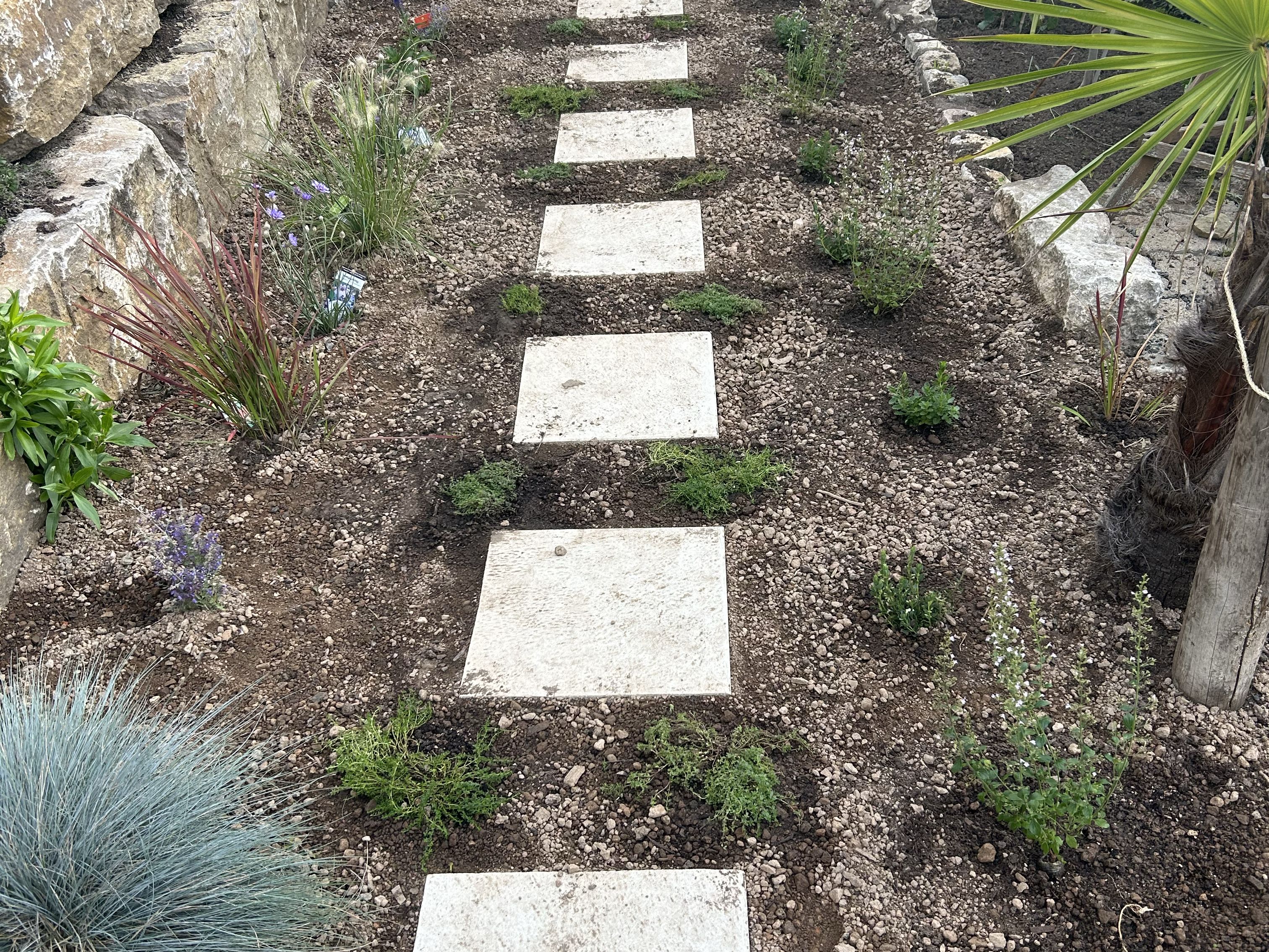 Trittplatten aus Naturstein in einer Kiesfläche
