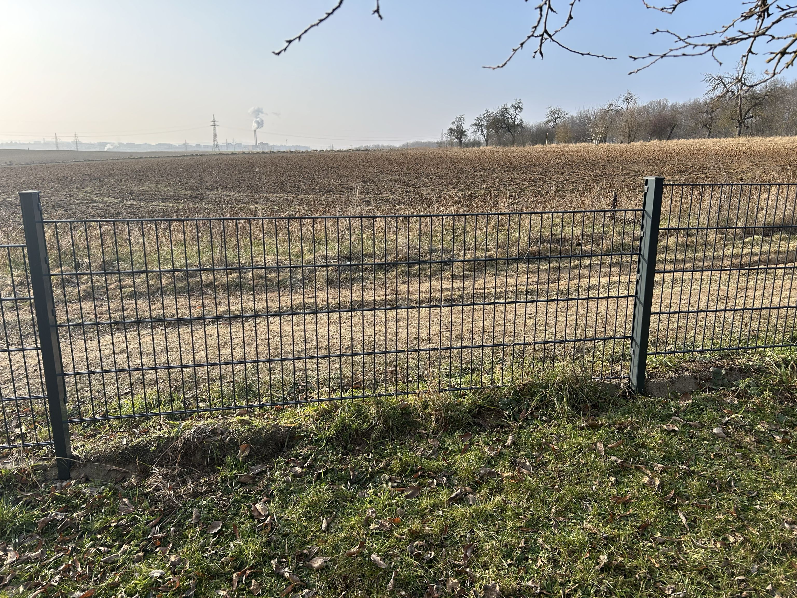 Doppelstabmattenzaun in Anthrazit auf einer Wiese