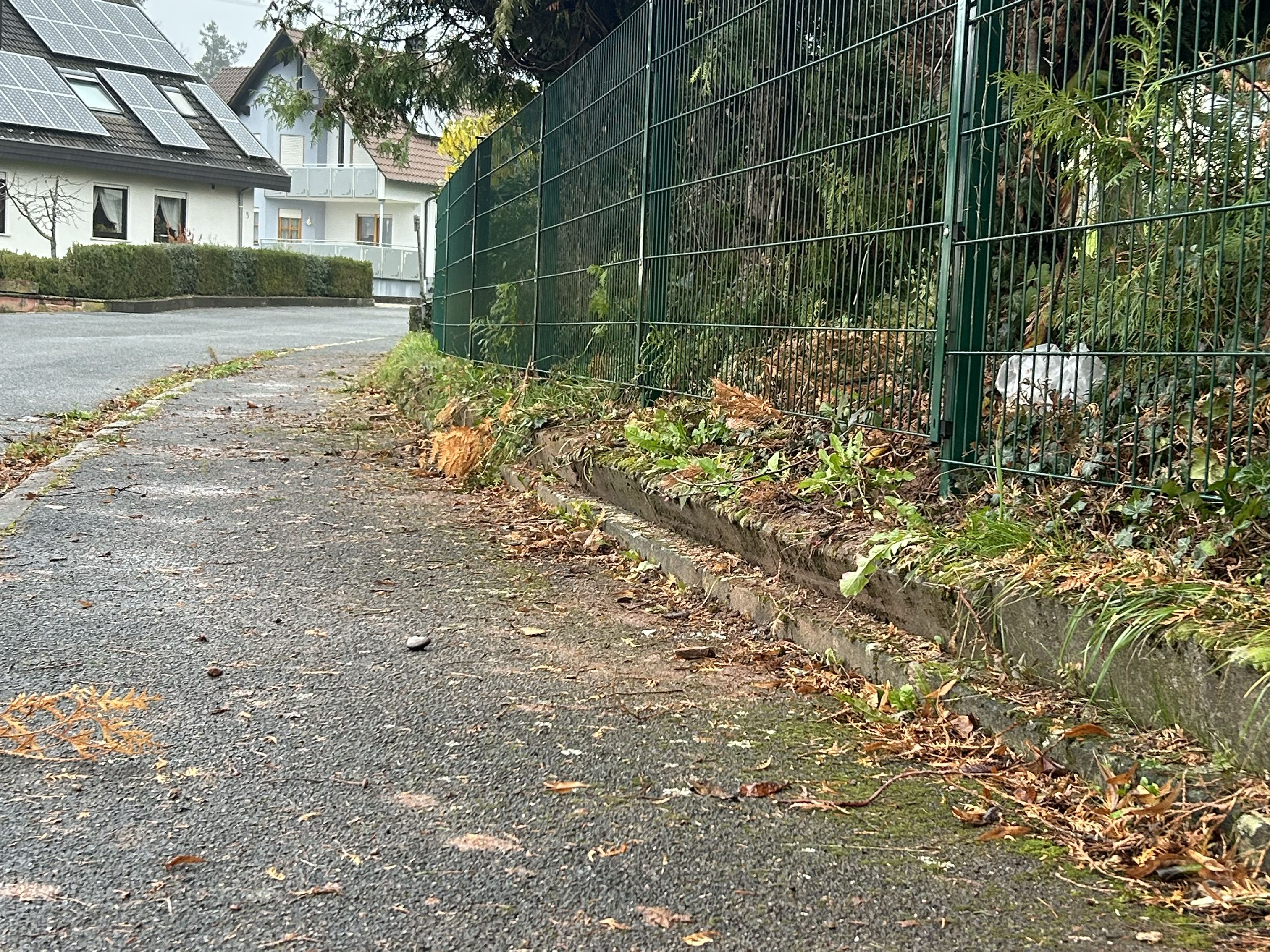 Grüner Stabmattenzaun an einer Straße