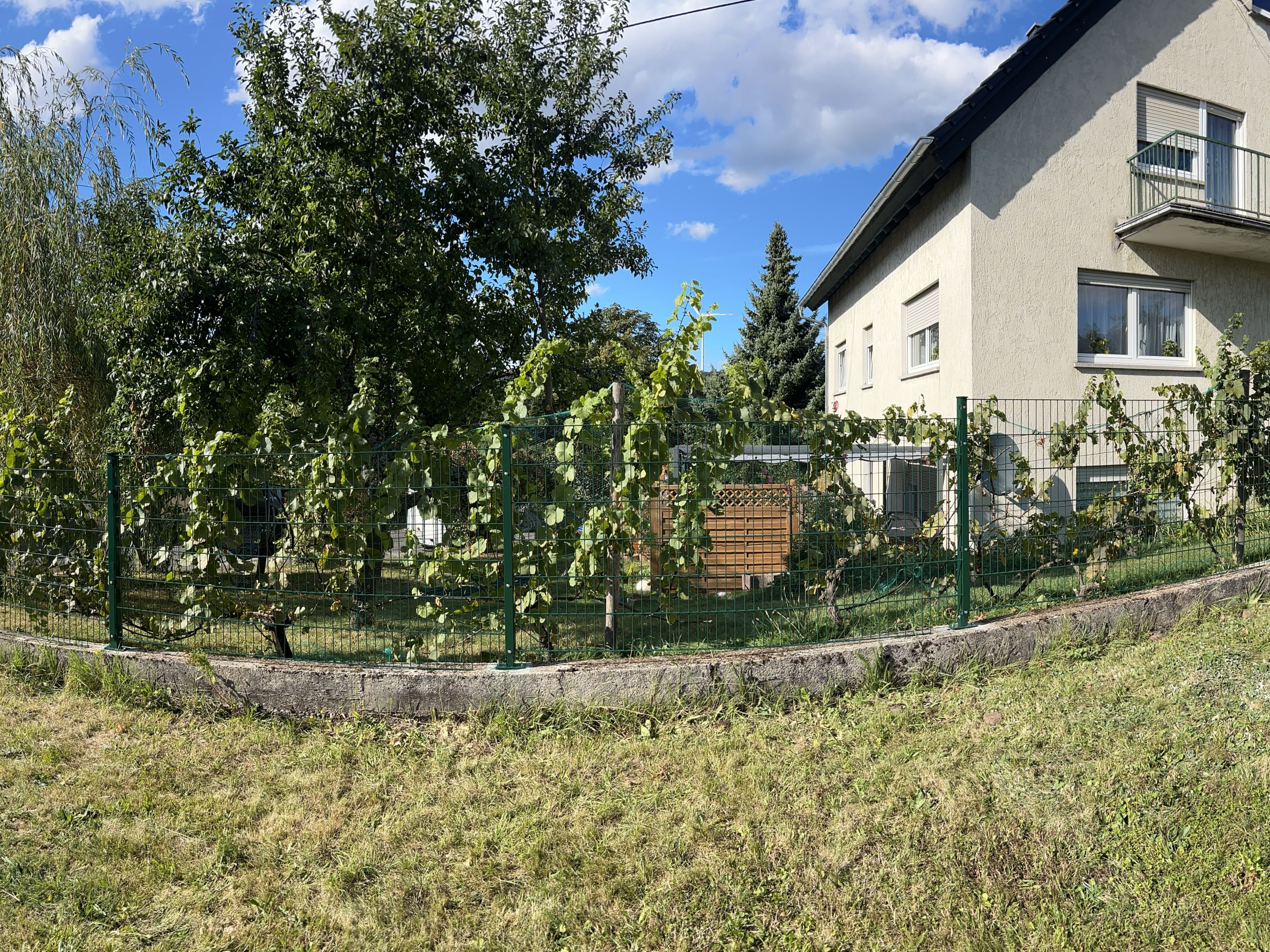 Panorama eines grünen Zaunsystems um ein Wohngrundstück